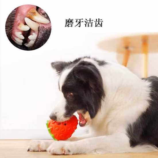 Juguete de goma suave para mascotas, cepillo dental Dental, juguetes interactivos de limpieza, Bola de alimentación de comida de goma, juguete para masticar para perros, juguete interactivo para mascotas